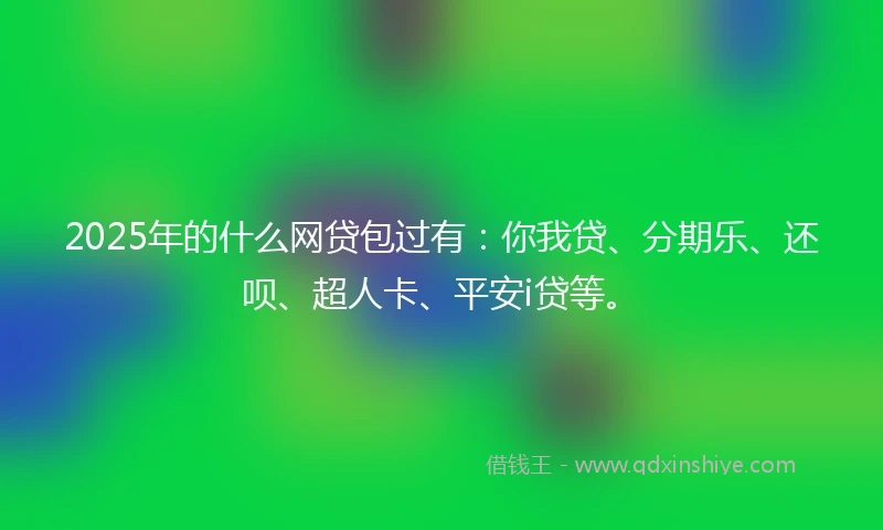 2025年的什么网贷包过有：你我贷、分期乐、还呗、超人卡、平安i贷等。