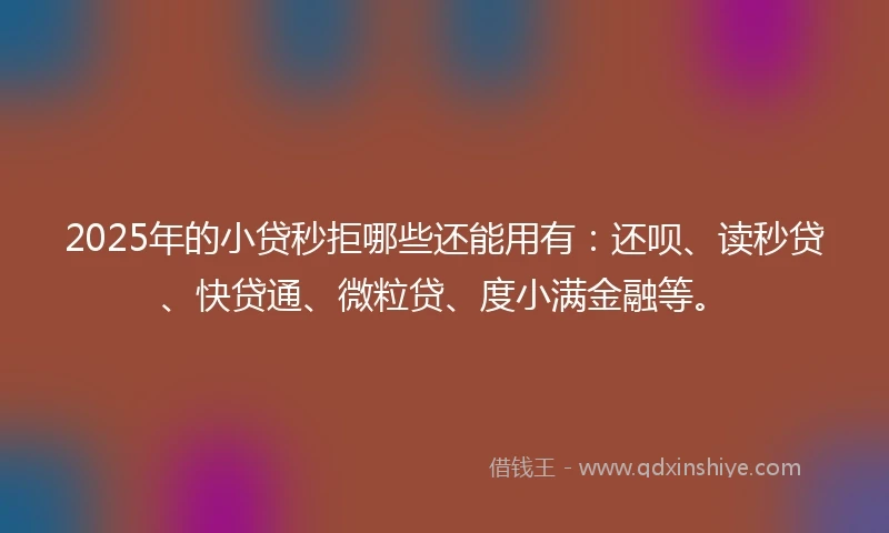 2025年的小贷秒拒哪些还能用有：还呗、读秒贷、快贷通、微粒贷、度小满金融等。