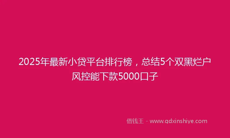 2025年最新小贷平台排行榜，总结5个双黑烂户风控能下款5000口子
