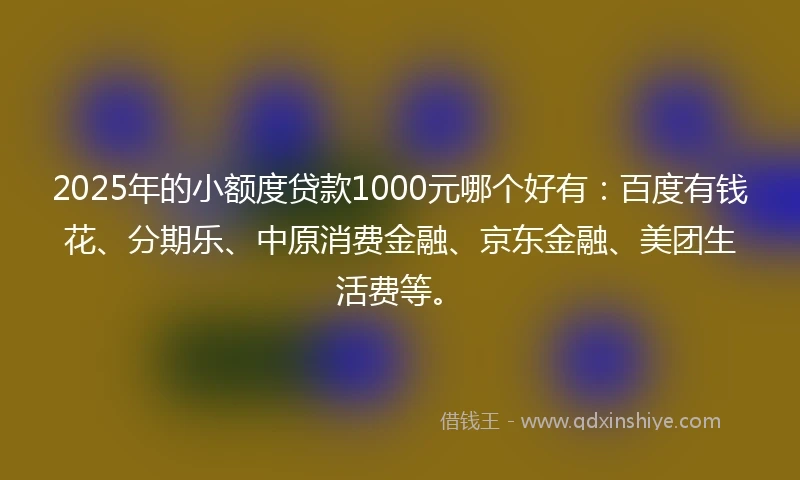 2025年的小额度贷款1000元哪个好有：百度有钱花、分期乐、中原消费金融、京东金融、美团生活费等。