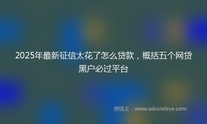 2025年最新征信太花了怎么贷款，概括五个网贷黑户必过平台