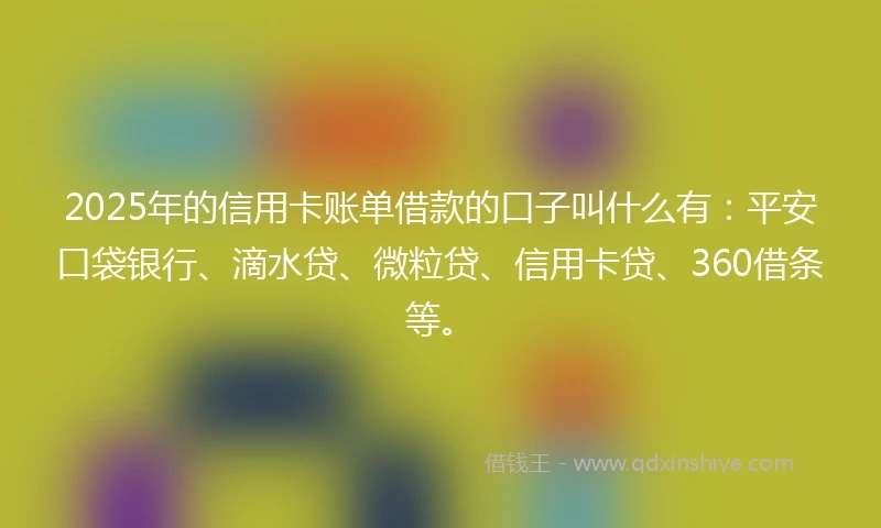2025年的信用卡账单借款的口子叫什么有：平安口袋银行、滴水贷、微粒贷、信用卡贷、360借条等。