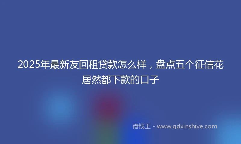 2025年最新友回租贷款怎么样，盘点五个征信花居然都下款的口子