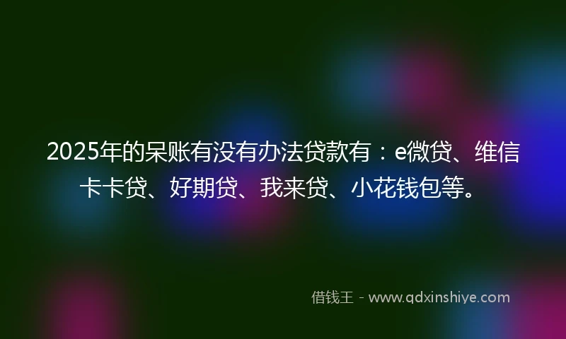2025年的呆账有没有办法贷款有：e微贷、维信卡卡贷、好期贷、我来贷、小花钱包等。
