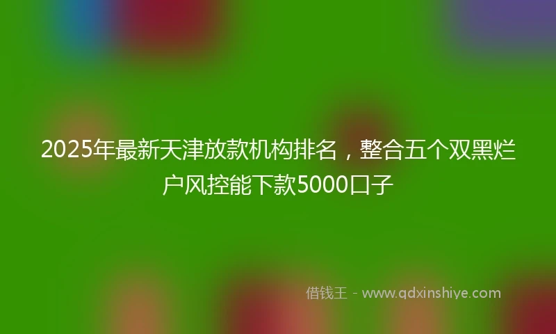 2025年最新天津放款机构排名，整合五个双黑烂户风控能下款5000口子