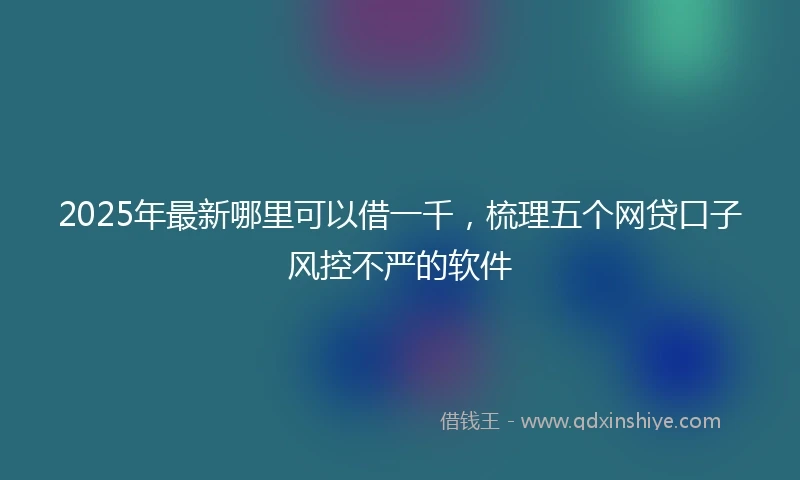 2025年最新哪里可以借一千，梳理五个网贷口子风控不严的软件