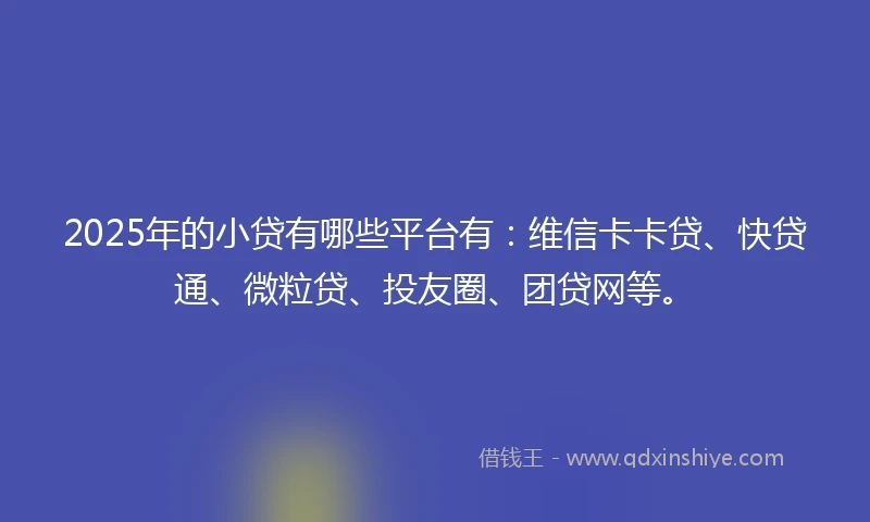 2025年的小贷有哪些平台有：维信卡卡贷、快贷通、微粒贷、投友圈、团贷网等。