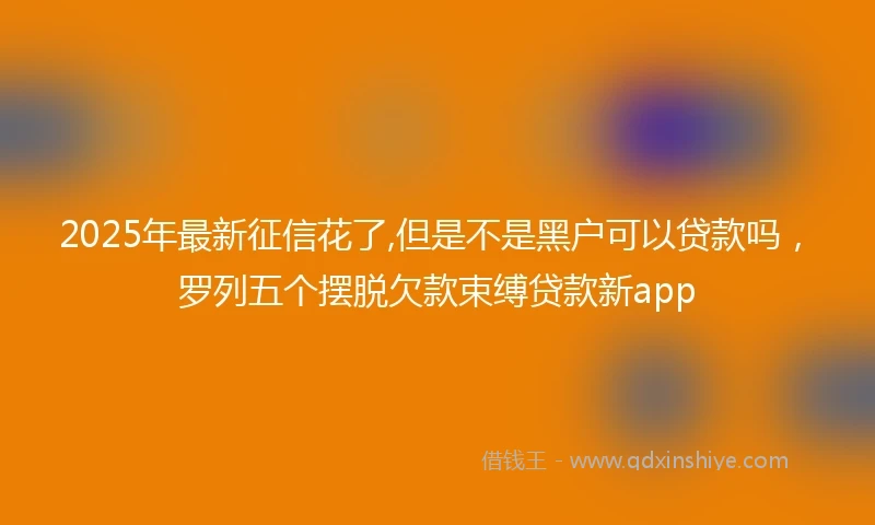 2025年最新征信花了,但是不是黑户可以贷款吗，罗列五个摆脱欠款束缚贷款新app
