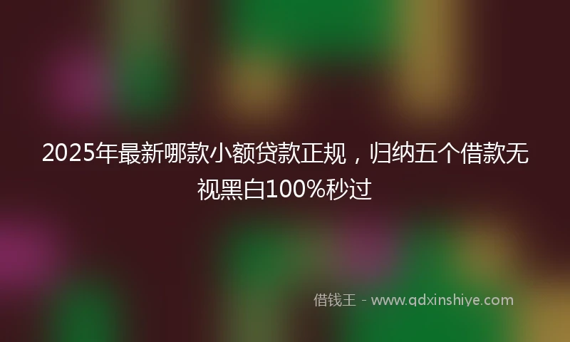 2025年最新哪款小额贷款正规，归纳五个借款无视黑白100%秒过