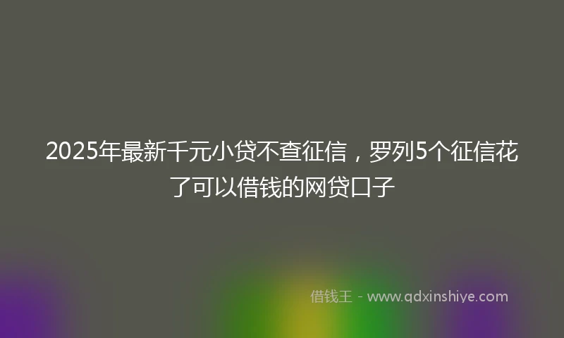 2025年最新千元小贷不查征信，罗列5个征信花了可以借钱的网贷口子