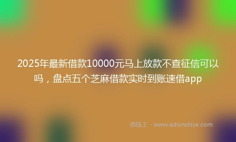 2025年最新借款10000元马上放款不查征信可以吗，盘点五个芝麻借款实时到账速借app