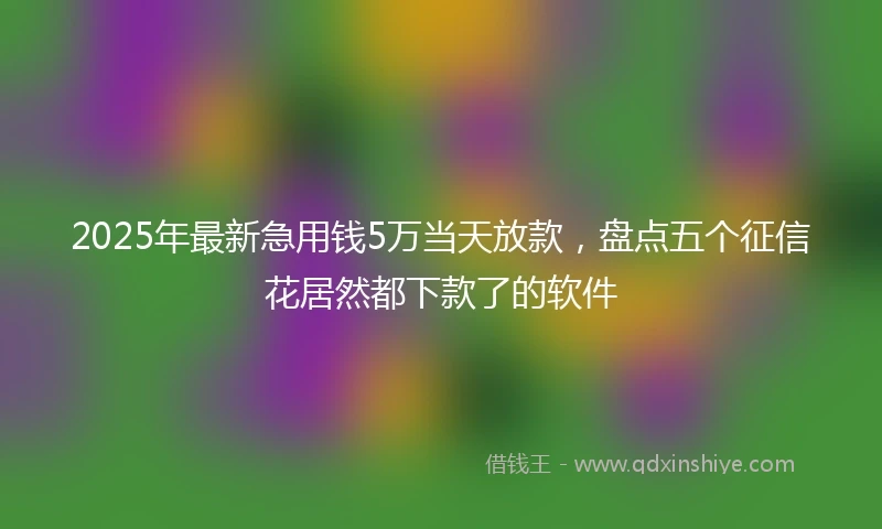 2025年最新急用钱5万当天放款，盘点五个征信花居然都下款了的软件
