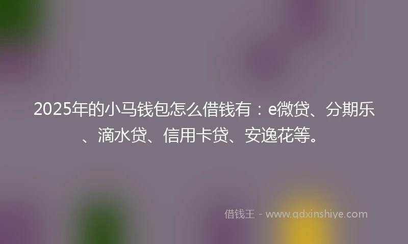 2025年的小马钱包怎么借钱有：e微贷、分期乐、滴水贷、信用卡贷、安逸花等。