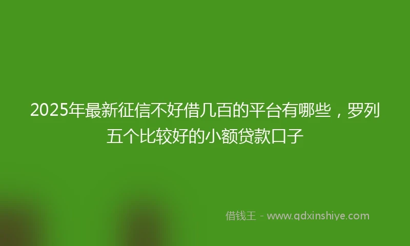 2025年最新征信不好借几百的平台有哪些，罗列五个比较好的小额贷款口子
