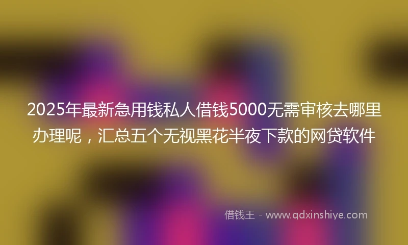 2025年最新急用钱私人借钱5000无需审核去哪里办理呢，汇总五个无视黑花半夜下款的网贷软件