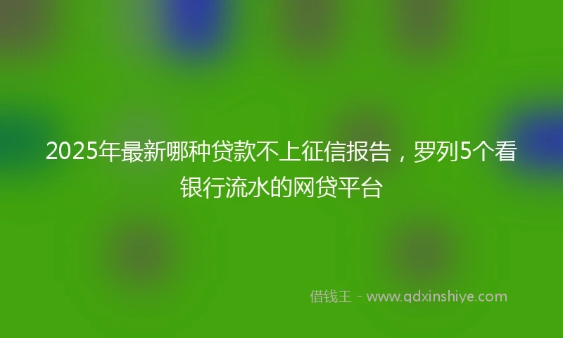 2025年最新哪种贷款不上征信报告，罗列5个看银行流水的网贷平台