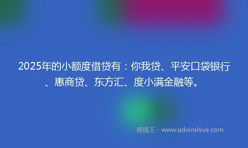 2025年的小额度借贷有：你我贷、平安口袋银行、惠商贷、东方汇、度小满金融等。