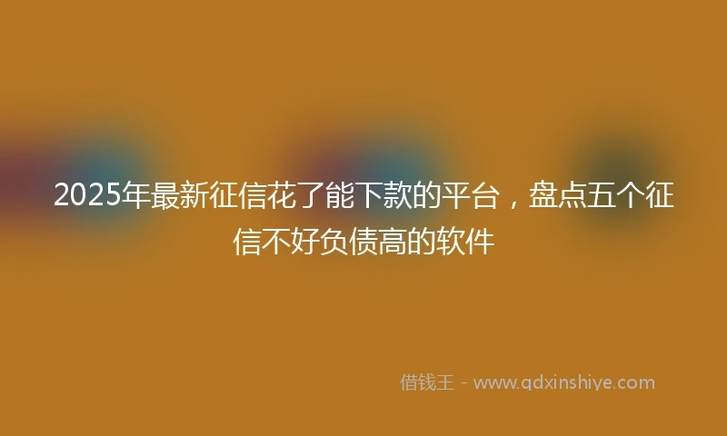 2025年最新征信花了能下款的平台，盘点五个征信不好负债高的软件