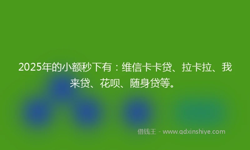 2025年的小额秒下有：维信卡卡贷、拉卡拉、我来贷、花呗、随身贷等。