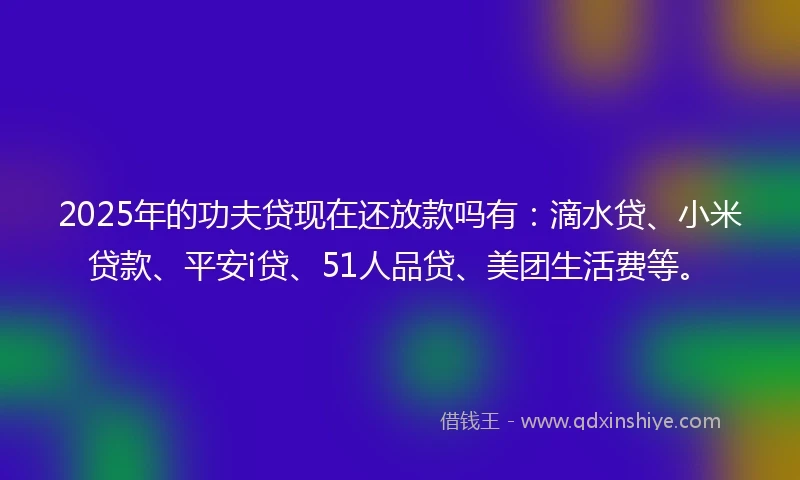 2025年的功夫贷现在还放款吗有：滴水贷、小米贷款、平安i贷、51人品贷、美团生活费等。