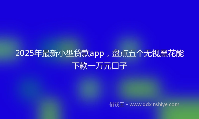 2025年最新小型贷款app，盘点五个无视黑花能下款一万元口子