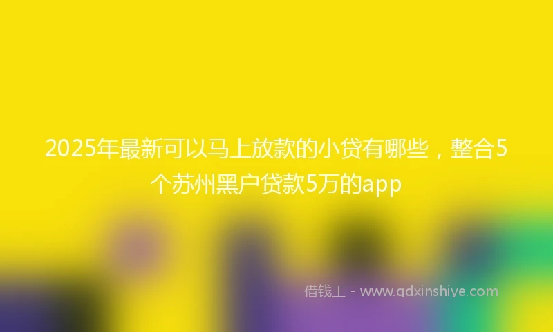2025年最新可以马上放款的小贷有哪些，整合5个苏州黑户贷款5万的app