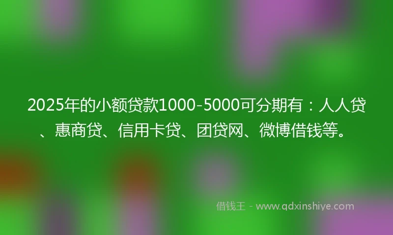 2025年的小额贷款1000-5000可分期有：人人贷、惠商贷、信用卡贷、团贷网、微博借钱等。