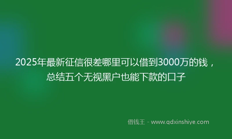2025年最新征信很差哪里可以借到3000万的钱，总结五个无视黑户也能下款的口子