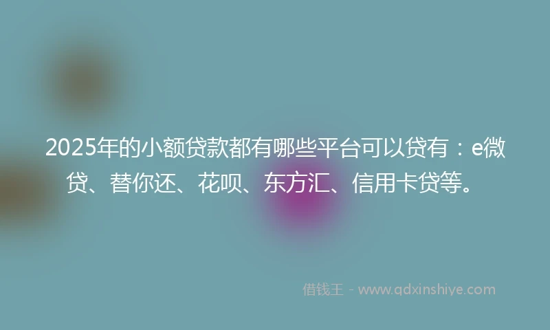 2025年的小额贷款都有哪些平台可以贷有：e微贷、替你还、花呗、东方汇、信用卡贷等。