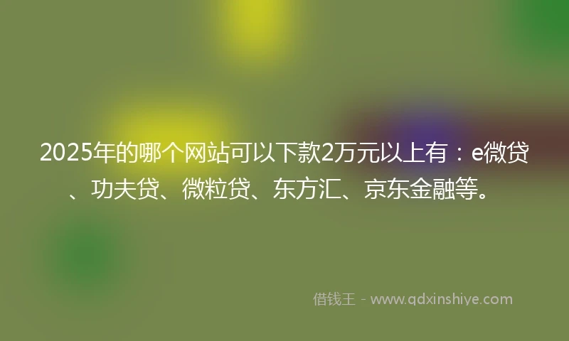 2025年的哪个网站可以下款2万元以上有：e微贷、功夫贷、微粒贷、东方汇、京东金融等。