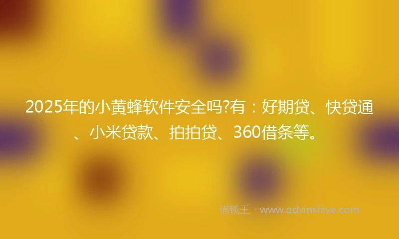 2025年的小黄蜂软件安全吗?有：好期贷、快贷通、小米贷款、拍拍贷、360借条等。