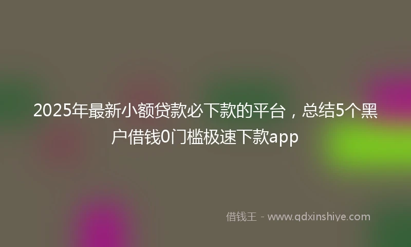 2025年最新小额贷款必下款的平台，总结5个黑户借钱0门槛极速下款app