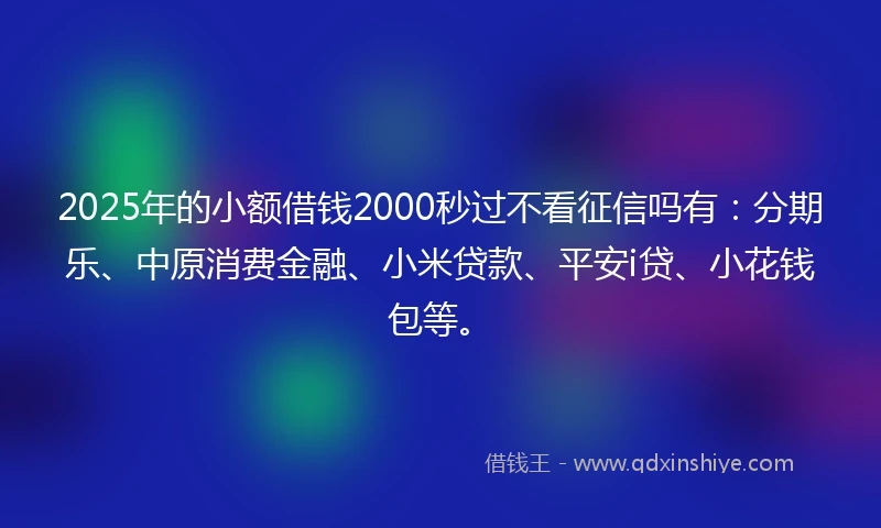 2025年的小额借钱2000秒过不看征信吗有：分期乐、中原消费金融、小米贷款、平安i贷、小花钱包等。
