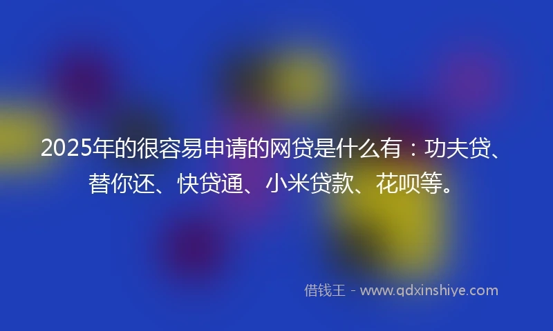 2025年的很容易申请的网贷是什么有：功夫贷、替你还、快贷通、小米贷款、花呗等。