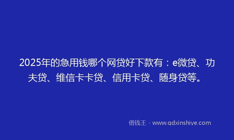 2025年的急用钱哪个网贷好下款有：e微贷、功夫贷、维信卡卡贷、信用卡贷、随身贷等。