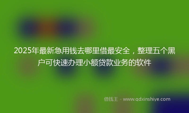 2025年最新急用钱去哪里借最安全，整理五个黑户可快速办理小额贷款业务的软件