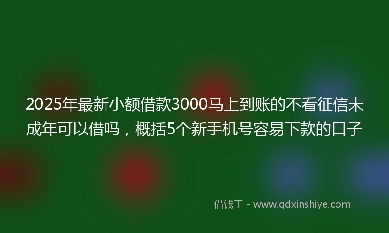 2025年最新小额借款3000马上到账的不看征信未成年可以借吗，概括5个新手机号容易下款的口子