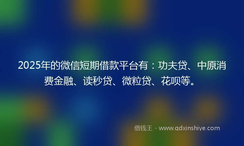 2025年的微信短期借款平台有：功夫贷、中原消费金融、读秒贷、微粒贷、花呗等。