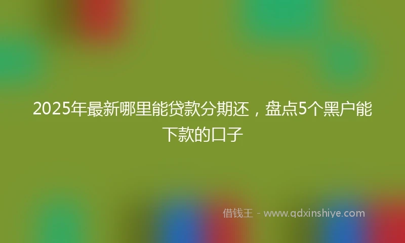 2025年最新哪里能贷款分期还，盘点5个黑户能下款的口子