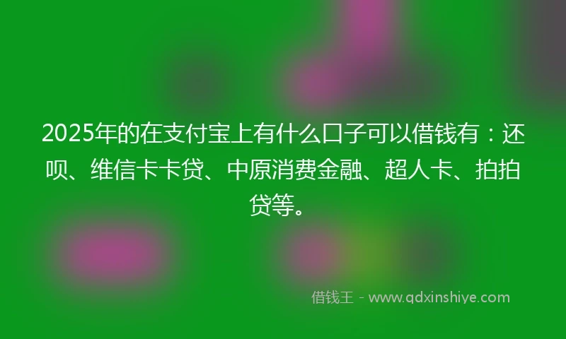 2025年的在支付宝上有什么口子可以借钱有：还呗、维信卡卡贷、中原消费金融、超人卡、拍拍贷等。