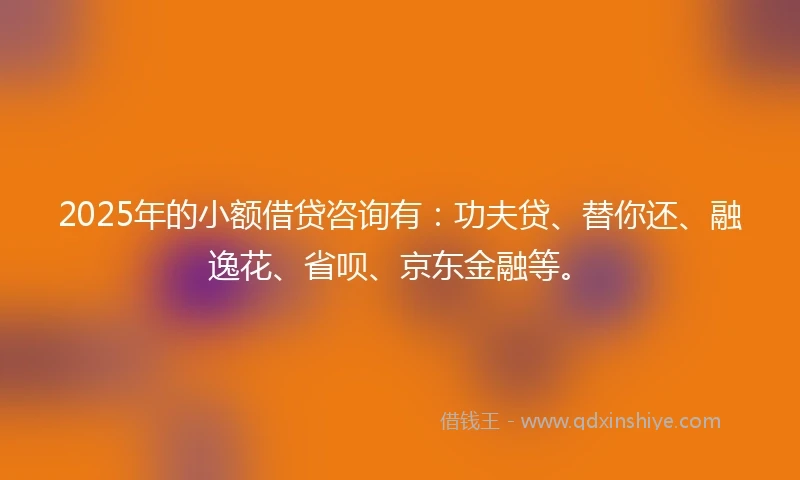 2025年的小额借贷咨询有：功夫贷、替你还、融逸花、省呗、京东金融等。