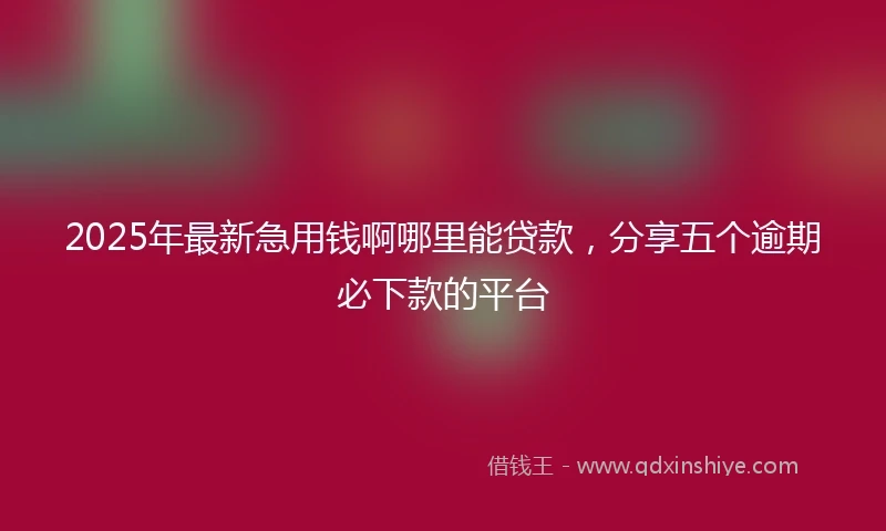2025年最新急用钱啊哪里能贷款，分享五个逾期必下款的平台
