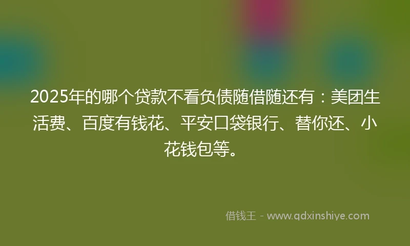 2025年的哪个贷款不看负债随借随还有：美团生活费、百度有钱花、平安口袋银行、替你还、小花钱包等。