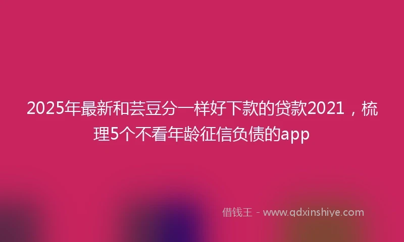 2025年最新和芸豆分一样好下款的贷款2021，梳理5个不看年龄征信负债的app