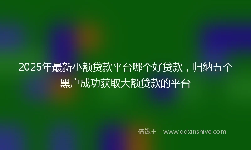 2025年最新小额贷款平台哪个好贷款，归纳五个黑户成功获取大额贷款的平台
