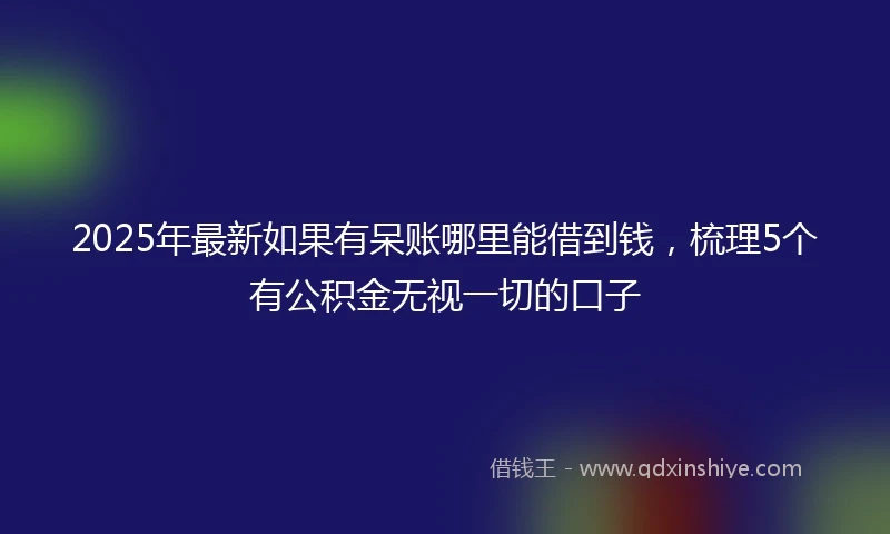 2025年最新如果有呆账哪里能借到钱，梳理5个有公积金无视一切的口子