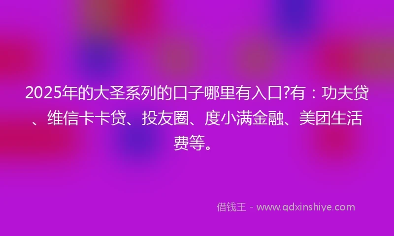 2025年的大圣系列的口子哪里有入口?有：功夫贷、维信卡卡贷、投友圈、度小满金融、美团生活费等。