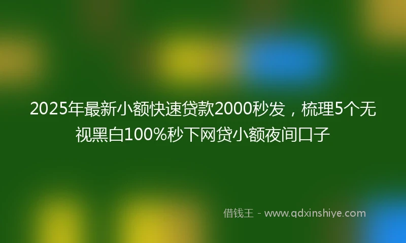 2025年最新小额快速贷款2000秒发，梳理5个无视黑白100%秒下网贷小额夜间口子