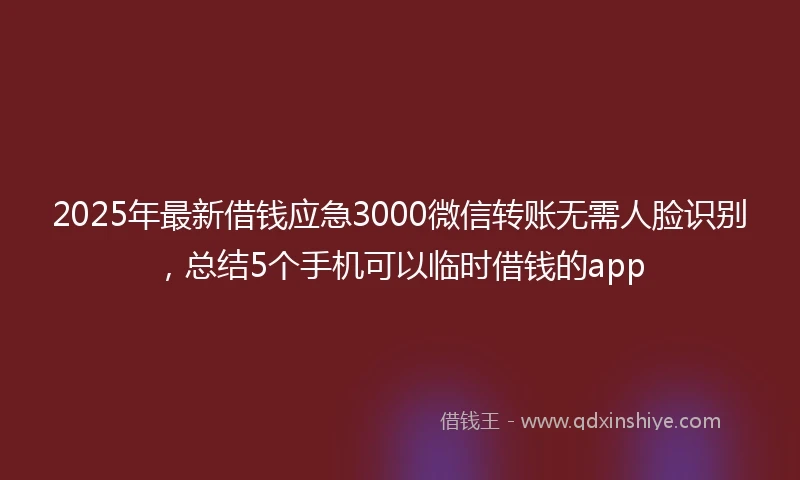 2025年最新借钱应急3000微信转账无需人脸识别，总结5个手机可以临时借钱的app
