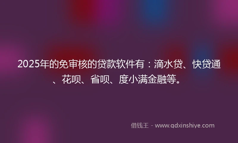 2025年的免审核的贷款软件有：滴水贷、快贷通、花呗、省呗、度小满金融等。